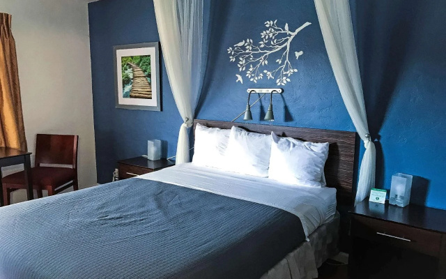 photo 3 of Golden Bear Hotel, SureStay Collection By Best Western
