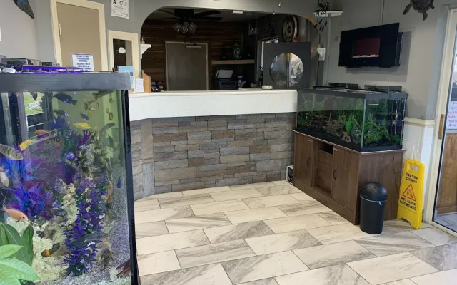 photo 2 of Americas Best Value Inn Greenville