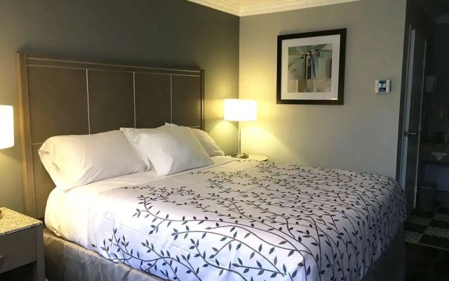 photo 4 of Americas Best Value Inn Milpitas Silicone Valley
