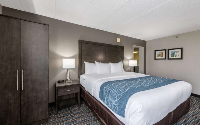 photo 5 of Comfort Inn Chicago Schaumburg - O'Hare Airport
