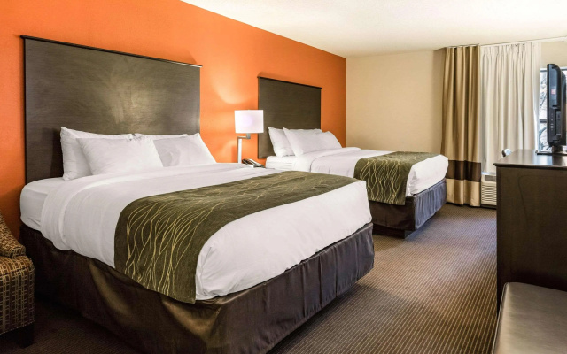 photo 4 of Comfort Inn Wings Stadium