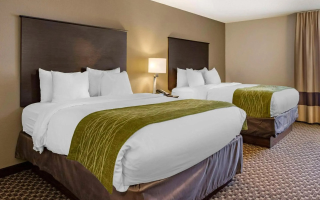 photo 5 of Comfort Inn Wings Stadium