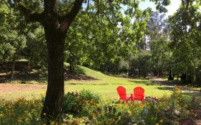 photo 2 of Amitabha Wine Country Cottage
