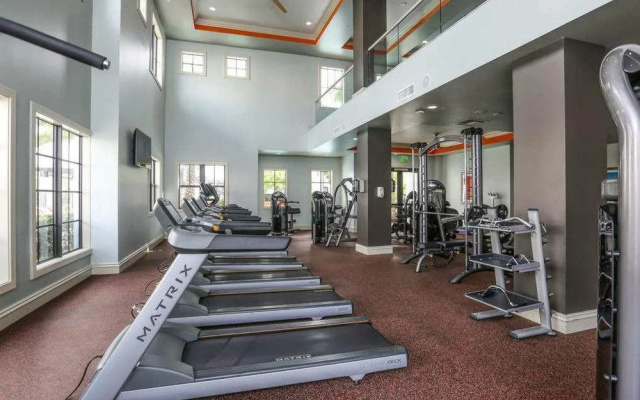 photo 3 of Amli Doral