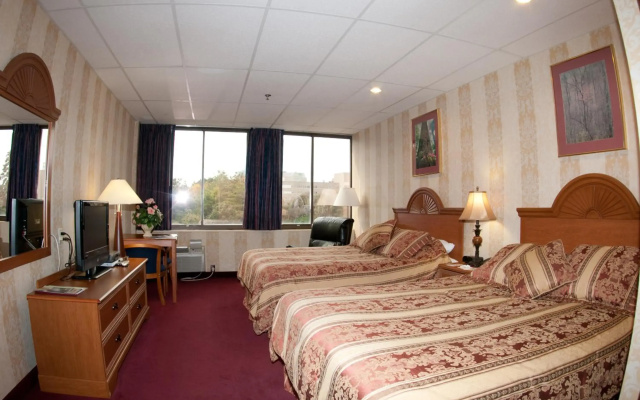 photo 2 of Amsterdam Hotel