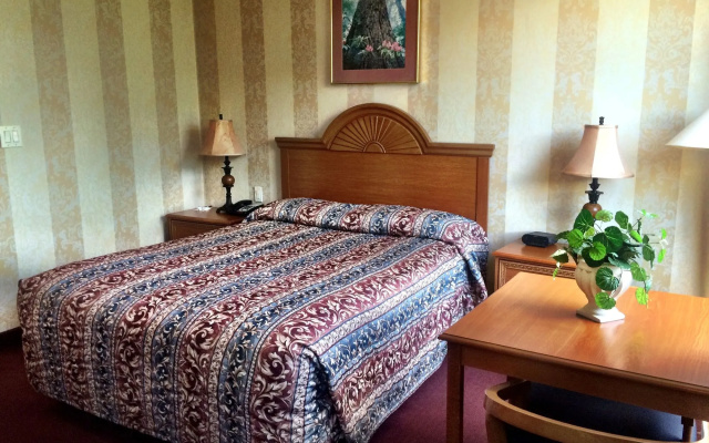 photo 3 of Amsterdam Hotel