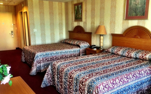 photo 4 of Amsterdam Hotel