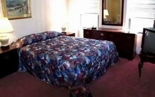 photo 3 of Amsterdam Inn