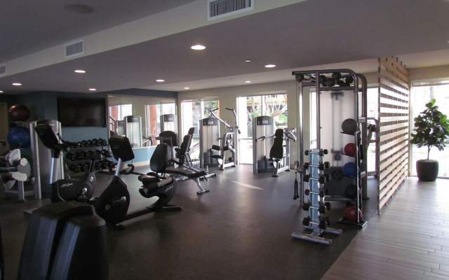 photo 5 of Apartment with Full Amenities - Miracle Mile