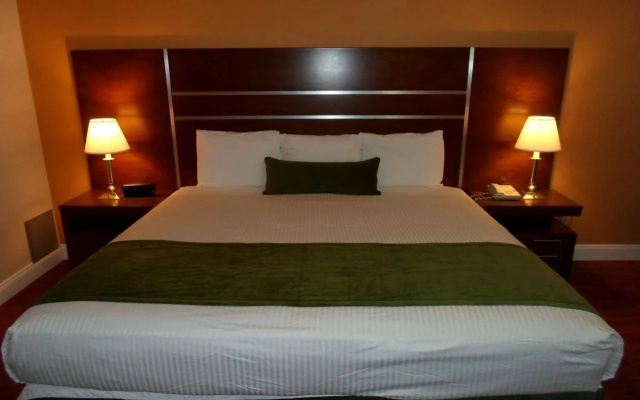 photo 3 of Arena Hotel