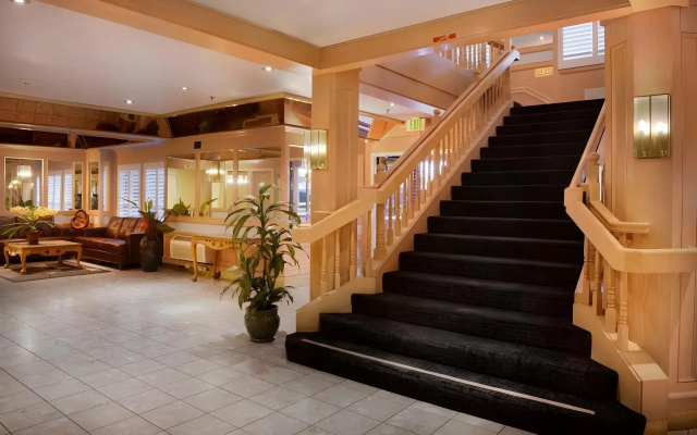 photo 5 of Arena Hotel