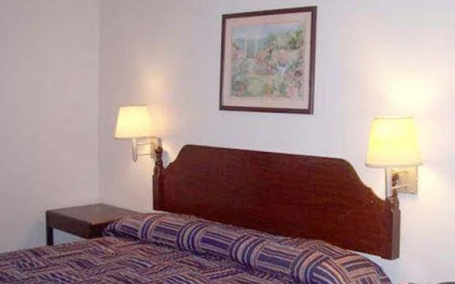 photo 3 of Arrival Inn