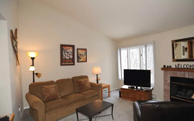 photo 2 of Asgard Haus 703 (Condo) Apartment 2