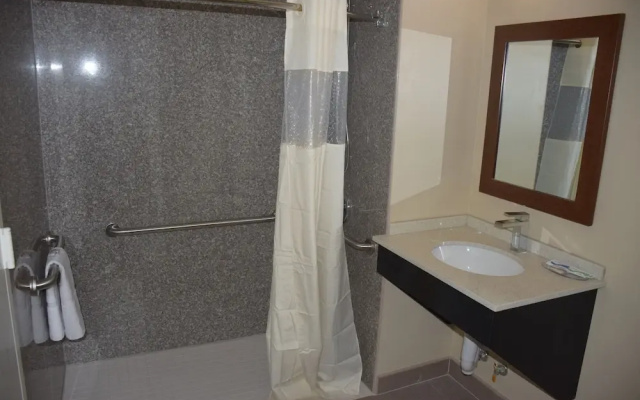 photo 4 of Astoria Delancy Inn and Suites