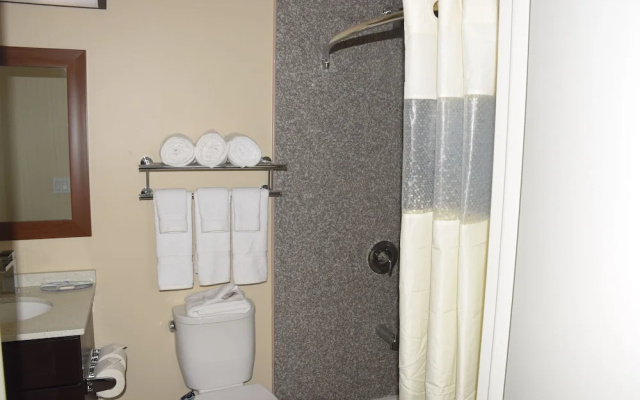 photo 5 of Astoria Delancy Inn and Suites