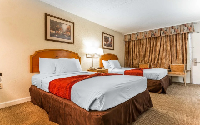 photo 5 of Atlantic Paradise Inn & Suites