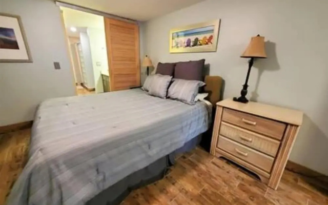 photo 5 of Atrium Condo Oceanview - Sleeps 4 Guests At107