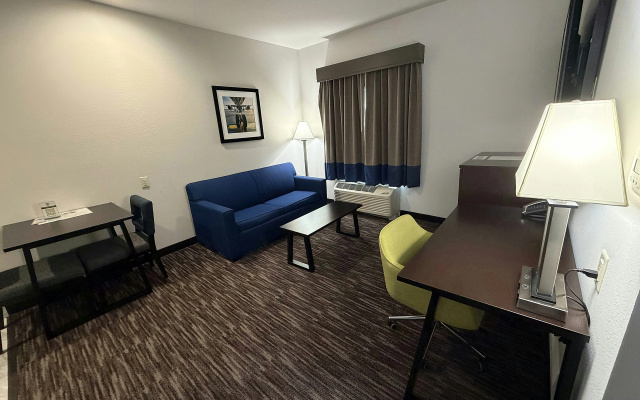 photo 4 of Atrium Hotel and Suites DFW Airport South