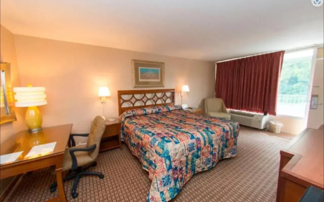 photo 2 of Audubon Inn