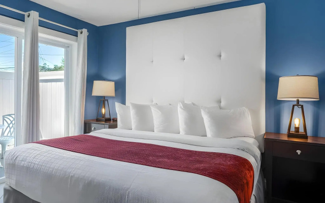 photo 3 of Avalon Hotel Downtown St. Petersburg