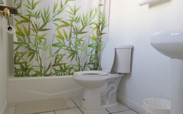 photo 5 of Bamboo House
