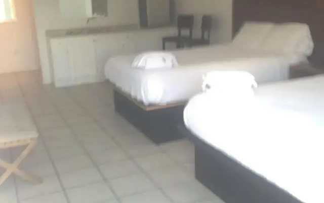 photo 2 of Banana Peel Resort