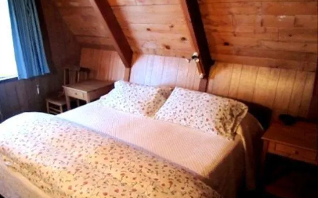photo 3 of Alpine Meadows Cabin in the Woods