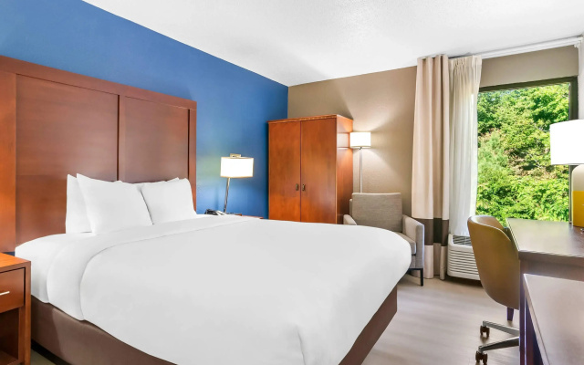 photo 3 of Comfort Inn Greenville - Haywood Mall