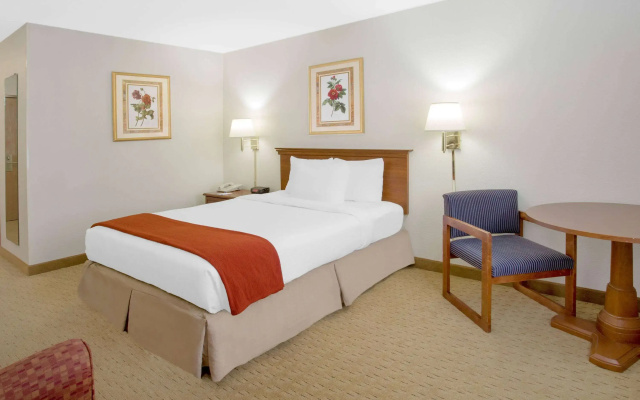 photo 4 of City Express By Marriott Freeport