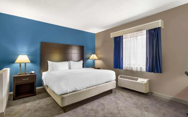 photo 4 of Comfort Inn & Suites Mundelein-Vernon Hills