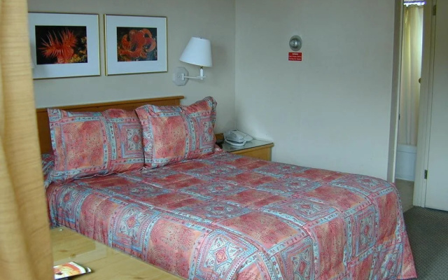 photo 2 of Beachcomber Inn
