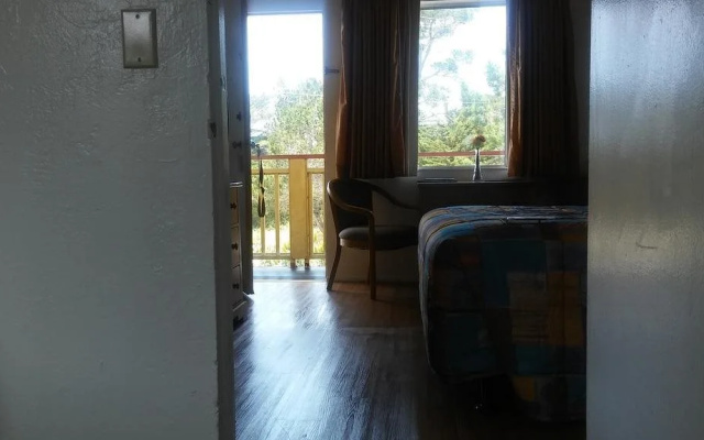 photo 3 of Beachcomber Inn