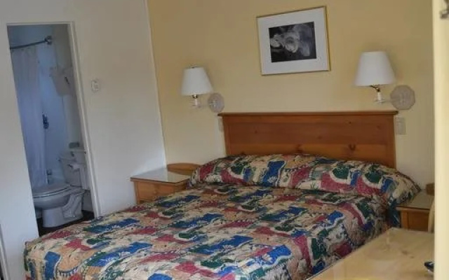 photo 4 of Beachcomber Inn