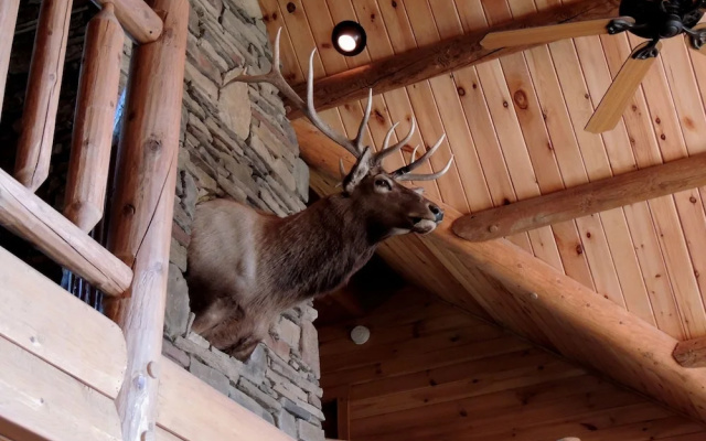 photo 5 of Bear Foot Lodge 4 Bedrooms 4.5 Bathrooms Cabin