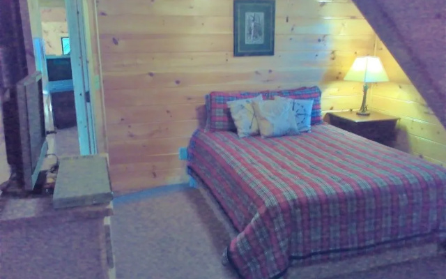 photo 3 of BEAR RIDGE Apartment 4 NEVAEH CABIN RENTALS