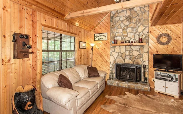 photo 3 of Bearadise Retreat Cabin