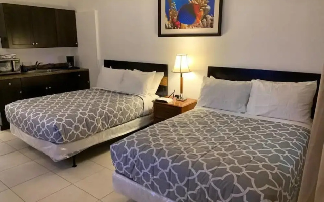 photo 3 of Beautiful cozy 1br apartment walk from the ocean!