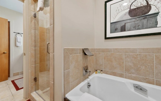 photo 4 of Beaver Creek Centennial 2 Bedroom #17
