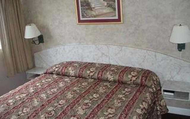 photo 4 of Belleair Village Motel