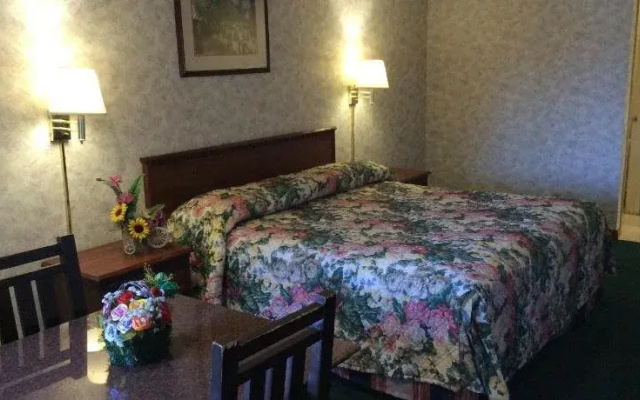 photo 5 of Paradise Inn