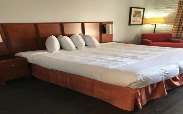 photo 3 of Extend-a-Suites Phoenix
