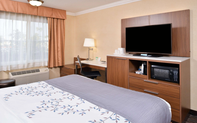 photo 3 of Best Western Airpark Hotel - LAX Airport LA  Stadium