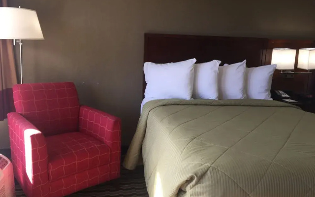 photo 5 of Best Western Airport Inn