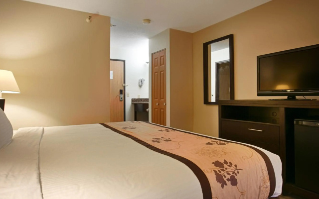 photo 5 of Best Western Alexandria Inn