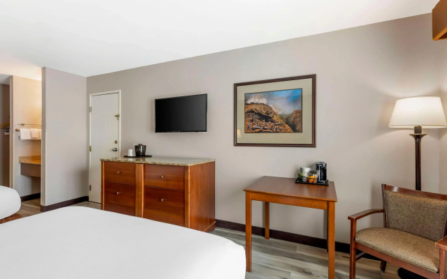 photo 4 of Best Western Denver Southwest