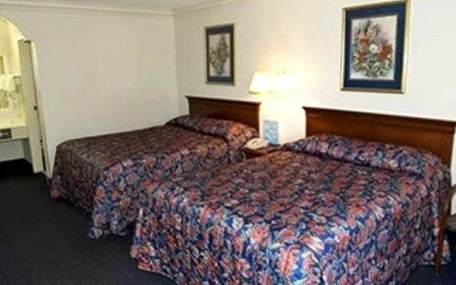 photo 3 of Best Western Executive Inn