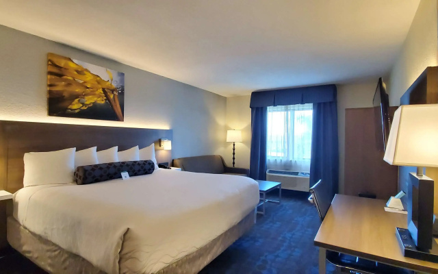 photo 5 of Best Western Plus Hollywood/Aventura