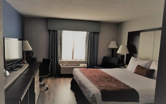 photo 4 of Wyndham Garden Jacksonville