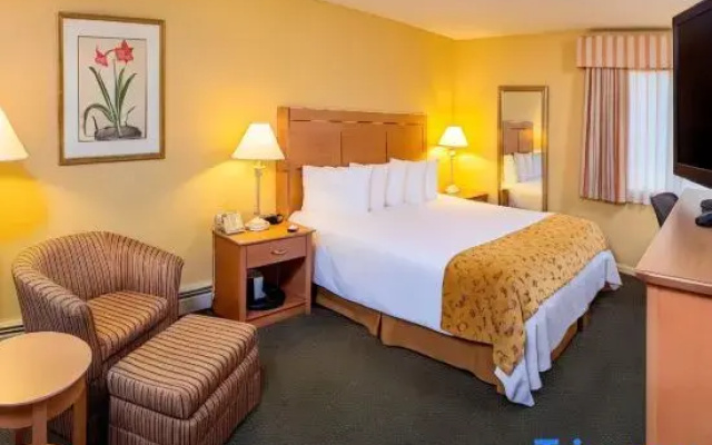 photo 3 of Best Western Inn and Suites