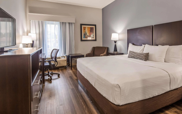 photo 5 of Best Western Inn Florence